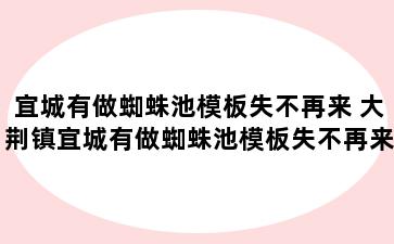 宜城有做蜘蛛池模板失不再来 大荆镇宜城有做蜘蛛池模板失不再来